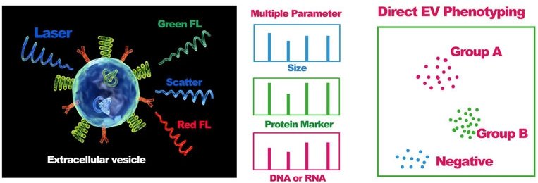 NanoFCM FLOW NANOANALYZER